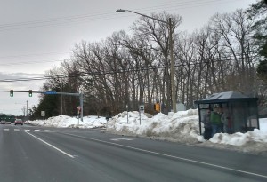PRTC bus shelter 4 days after the storm passed. 