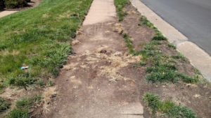 Debris on sidewalk before request was submitted